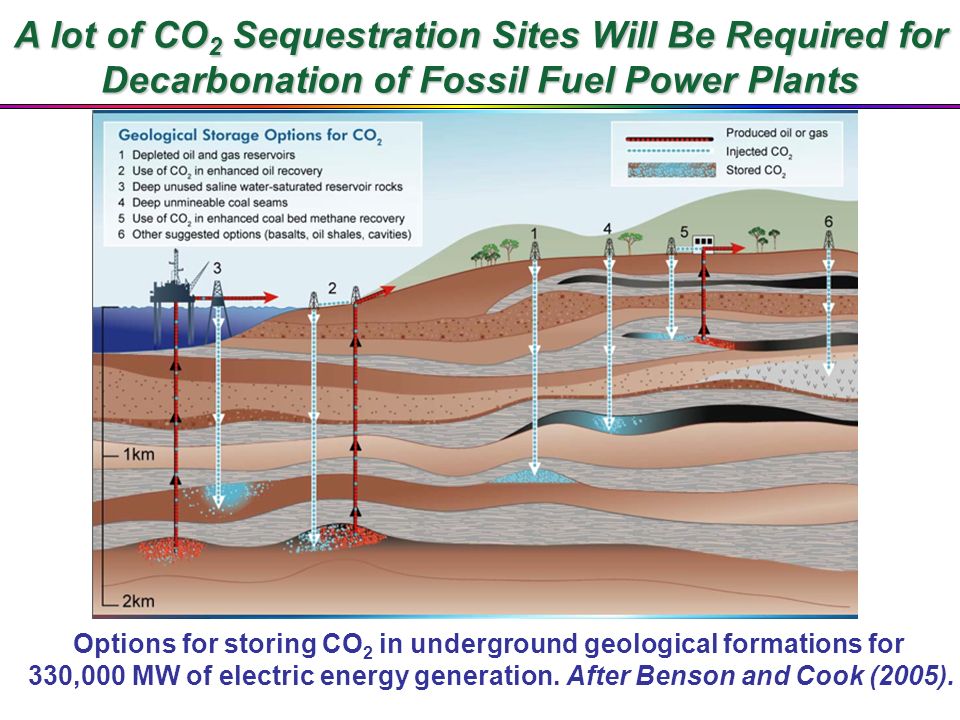 Coal and Coalbed Gas Fueling the Future